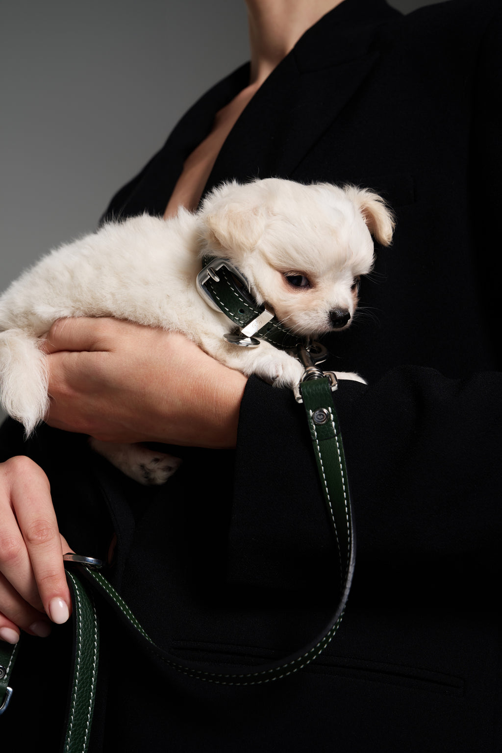 Juliet's Leash
