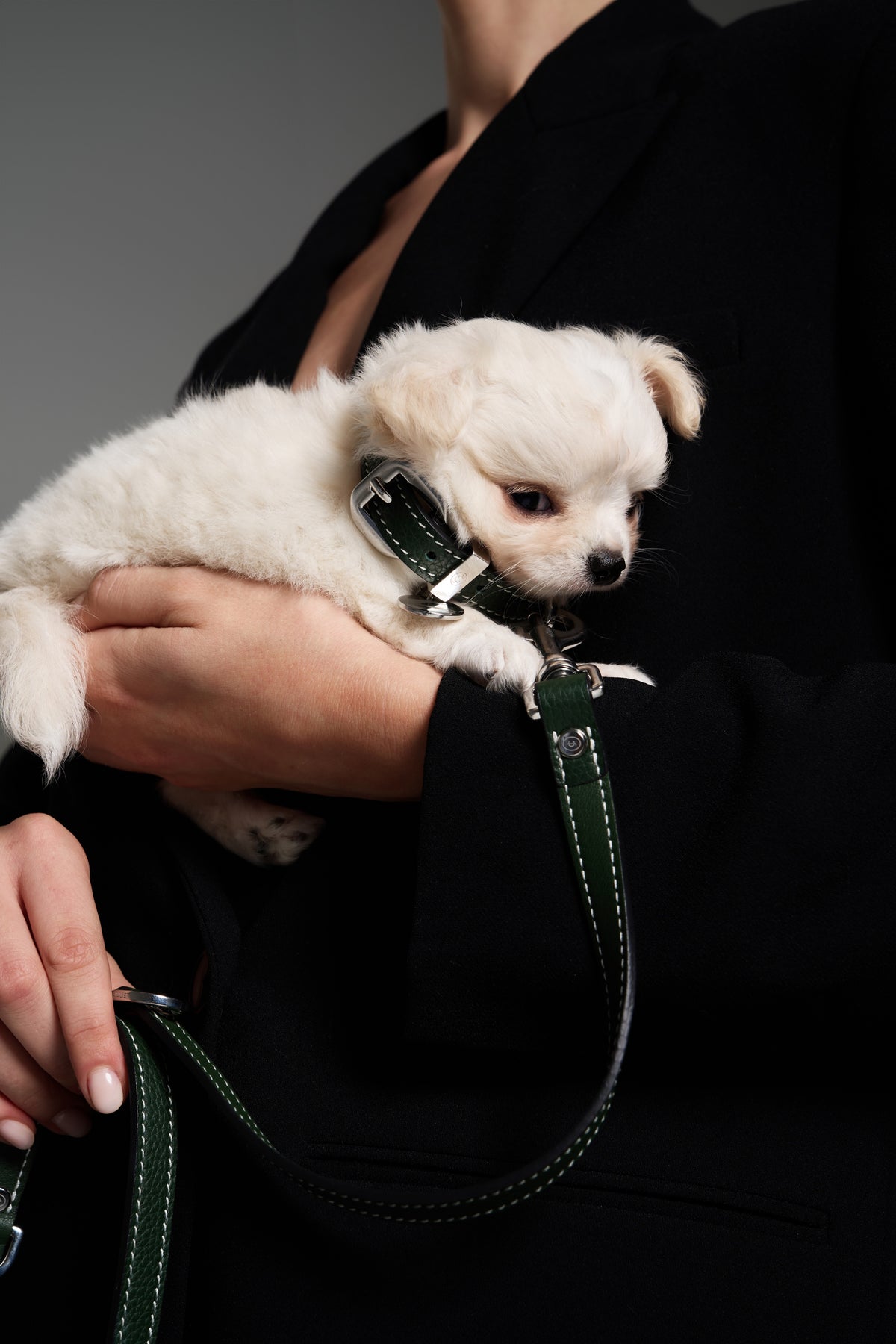 Juliet's Leash